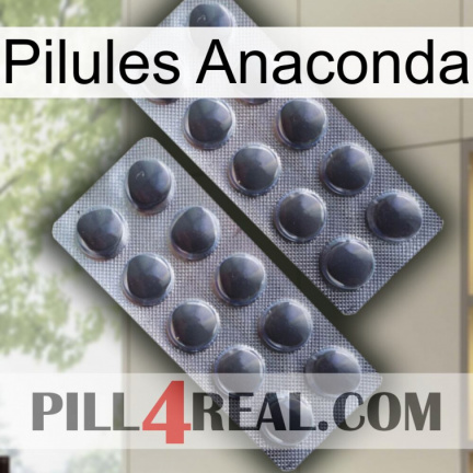 Anaconda Pills 31